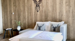 apartman-Lipno_interier_003